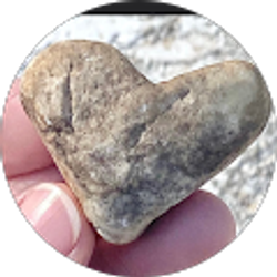 Profile photo of Lynn W