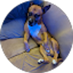 Profile photo of Hunter Cook