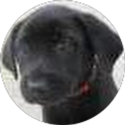 Profile photo of Jenny Pardee