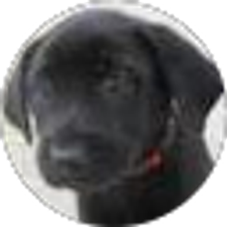 Profile photo of Jenny Pardee