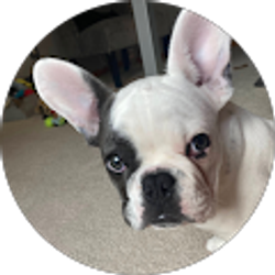 Profile photo of Cristine Thoms