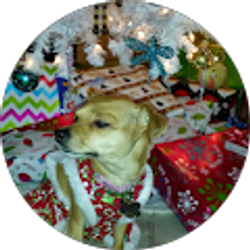 Profile photo of Adrianne Sanchez