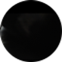 Profile photo of Antoinette Daniel