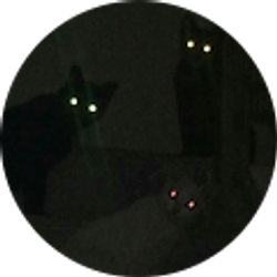 Profile photo of jayden