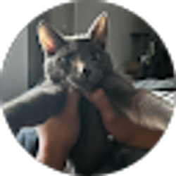 Profile photo of Xamora