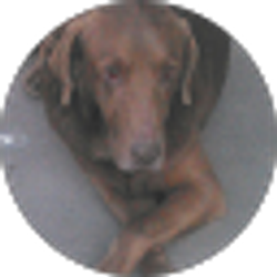 Profile photo of Tyler Lyon