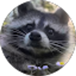 Profile photo of Luna Isere
