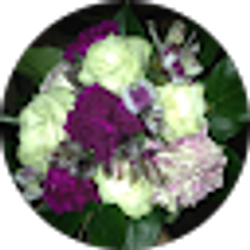 Profile photo of Conchita Rodriguez