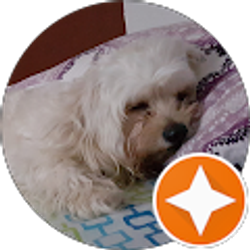 Profile photo of cucu plosh