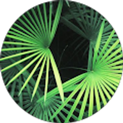 Profile photo of Audrey N