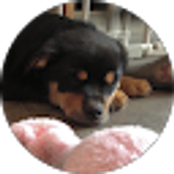 Profile photo of lucy m