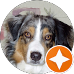 Profile photo of Pam Taylor