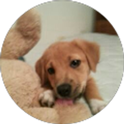 Profile photo of Ann Spruill