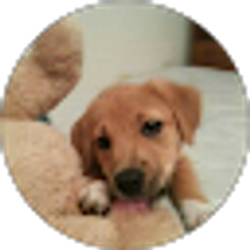 Profile photo of Ann Spruill