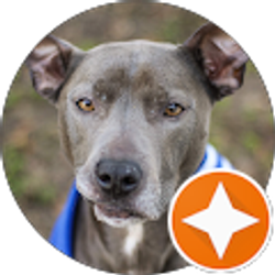 Profile photo of Chaysen Douglas