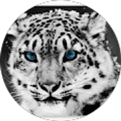 Profile photo of Quinn Brown