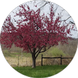 Profile photo of Lisa Griffith