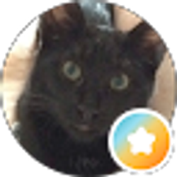 Profile photo of njtdk47