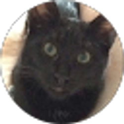 Profile photo of njtdk47