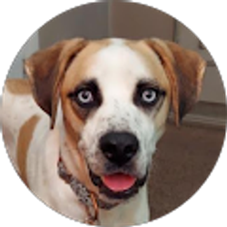 Profile photo of Michael Smith