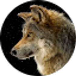 Profile photo of Amy Bartlett