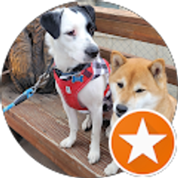 Profile photo of Nicholle R