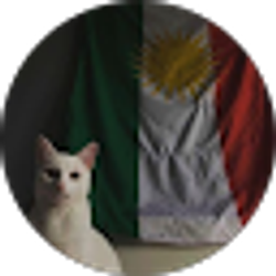 Profile photo of REIBER Muhammad