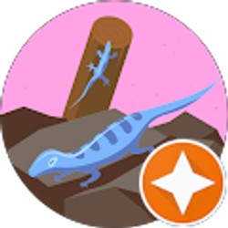 Profile photo of Kai