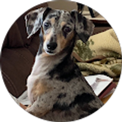 Profile photo of carlotta gwinn