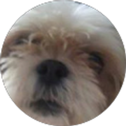 Profile photo of Lee Birdwell