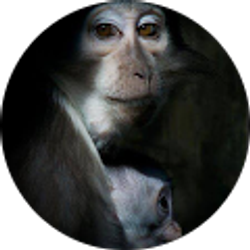 Profile photo of Susan Welch