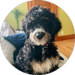 Profile photo of Lyle