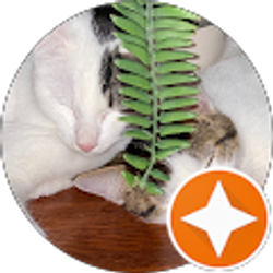 Profile photo of Maria Roberts