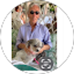 Profile photo of Steve Feldman
