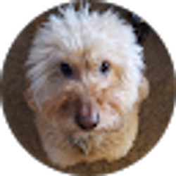 Profile photo of Lisa