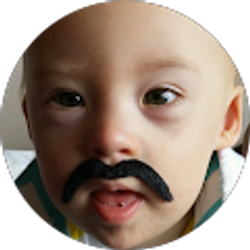 Profile photo of Phil Tully