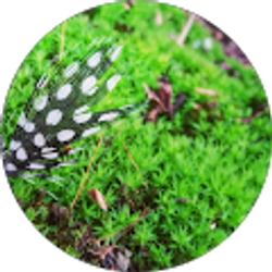 Profile photo of Heather Ross