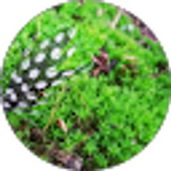 Profile photo of Heather Ross