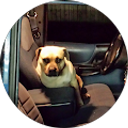 Profile photo of taylor parker