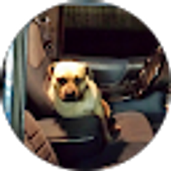 Profile photo of taylor parker