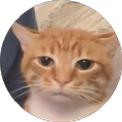 Profile photo of Wazeeh Moonwar