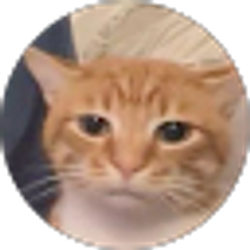 Profile photo of Wazeeh Moonwar