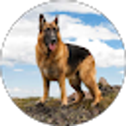 Profile photo of XYZ