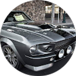 Profile photo of Turtle is the Name