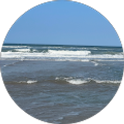 Profile photo of Joe Mendoza
