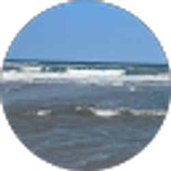 Profile photo of Joe Mendoza