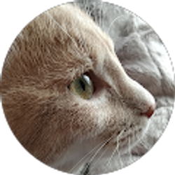 Profile photo of Bridget Wilson