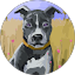 Profile photo of Brian Davis