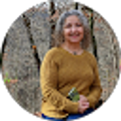 Profile photo of Lisa Nordeen