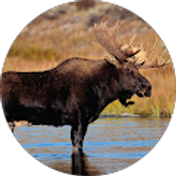 Profile photo of Justin Turpin